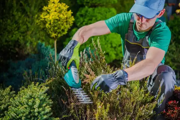 landscaping services Webster Groves